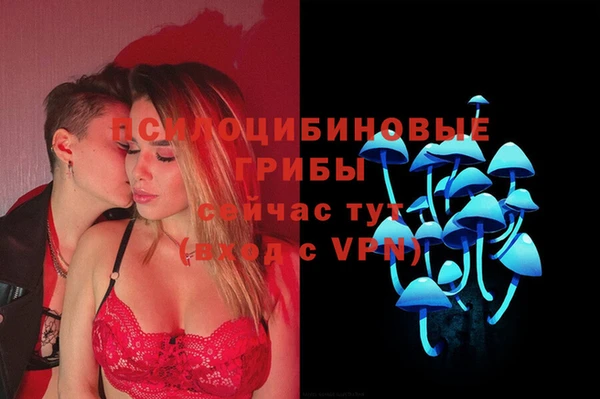 эйфоретик Алексеевка