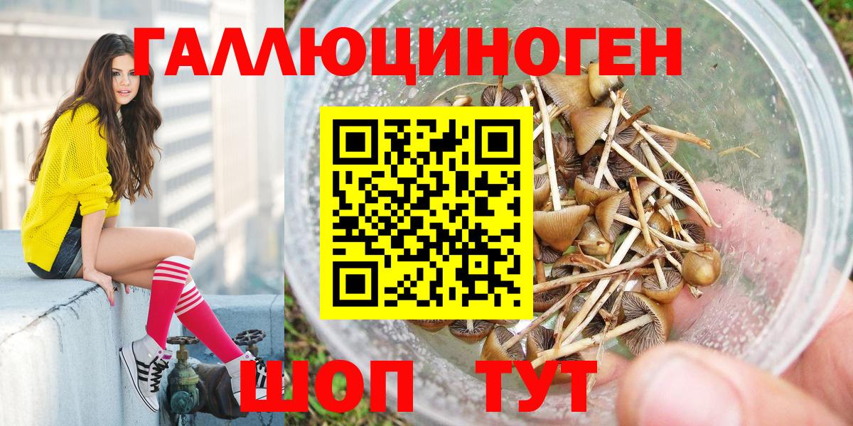 Псилоцибиновые грибы мицелий  Вход с VPN  купить  цена  Железноводск 